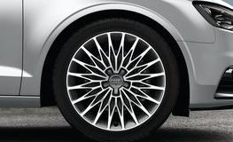 Efektywna ochrona przed kosztami nieprzewidzianych napraw przez 2 lata po upływie fabrycznej gwarancji. Audi Extensive Program serwisowy 4 lata / 80 000 km.