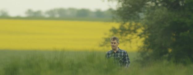 takich jak temperatura, wiatr, opady czy związana z nimi wilgotność gleby. Często oprysk w pożądanym momencie bywa niemożliwy.