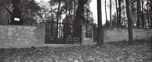 Stałe utrzymywanie porządku na terenie nekropolii jest możliwe dzięki wsparciu Hermana Storicka z USA. Cleanup of the Jewish cemetery.