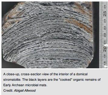 mld lat (Van Kranendonk et al.