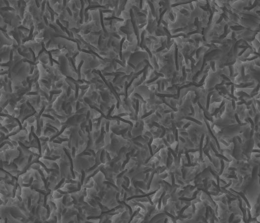 KWASOWA 50 µm