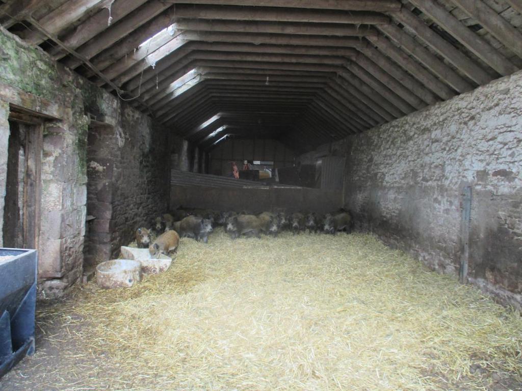 Następnie grupa odwiedziła Hilton Farm, która prowadzi hodowlę dzików europejskich.