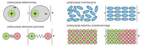 przewodzących prądu może występować zjawisko nazywane polaryzacją elektryczną polegające na orientacji lub wzbudzeniu dipoli elektrycznych