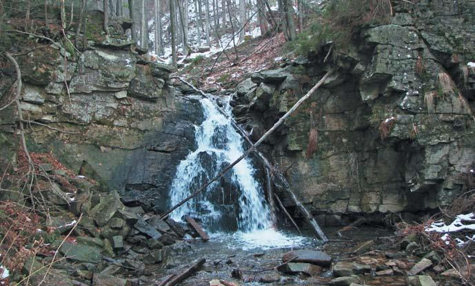 Fig. 7. Górny wodospad Kaskad Rodła ( I ), warstwy istebniańskie dolne, potok Biała Wisełka The Upper Fall (No.