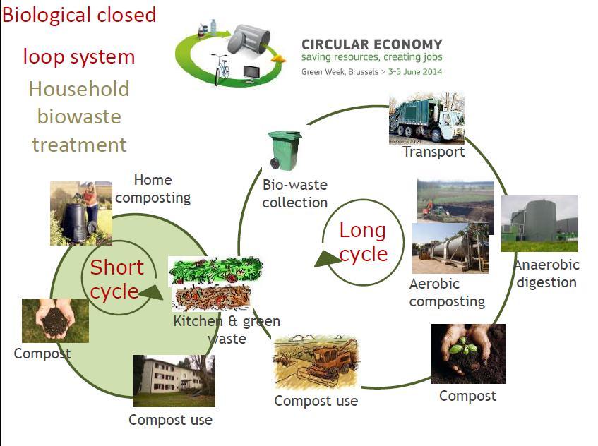 Koncepcja gospodarki cyrkulacyjnej F Advancing local circular economies by moving