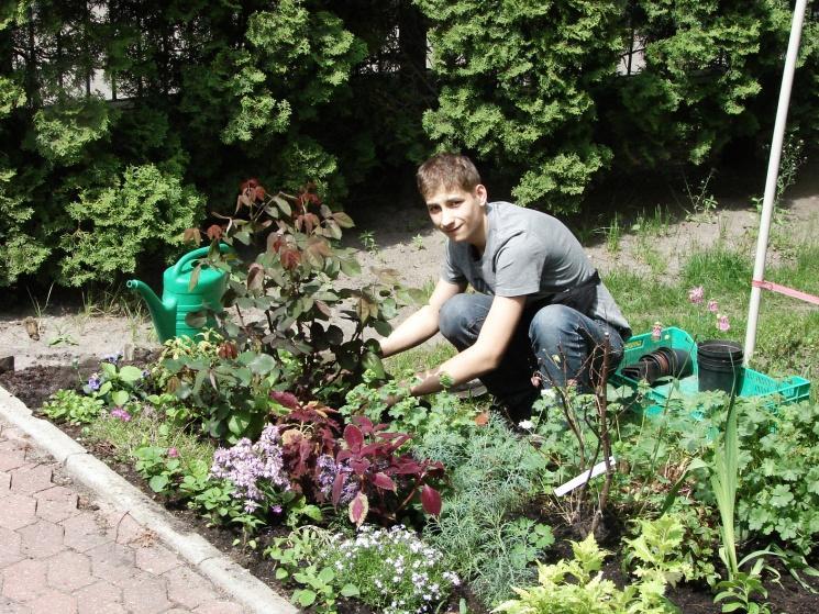 14 Przywrotnik ostroklapowy Alchemilla mollis 15 Rozchodnik okazały Sedum