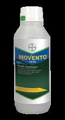 Najważniejsze zalety Movento 100 SC: całkowicie nowa substancja, wyjątkowe działanie systemiczne dwukierunkowe, całkowicie nowy mechanizm działania, doskonały partner do walki z powstawaniem