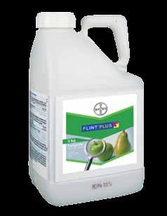 Gotowa formulacja preparatu Flint Plus 64 WG a strategia antyodpornościowa Kompozycja dwóch substancji aktywnych trifloksystrobiny i