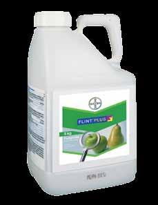 fungicyd Nowość w ochronie jabłoni przed parchem i mączniakiem! Flint Plus 64 WG to nowy preparat zawierający trifloksystrobinę oraz kaptan, w gotowej, łatwo rozpuszczalnej formulacji.