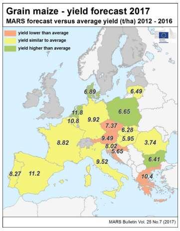 Zmiany prognoz plonów zbóż w Polsce i Europie W ostatnim czasie deszcze, wahania temperatury i nagłe zjawiska atmosferyczne nie sprzyjały wegetacji i procesom plonotwórczym.