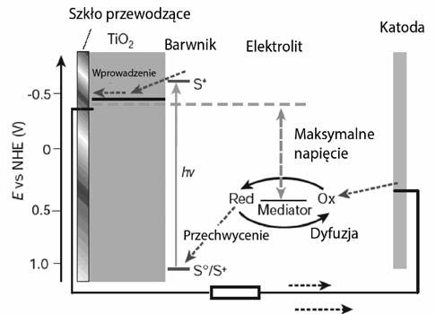 WYKORZYSTANIE TECHNIK DRUKU W PRODUKCJI TANICH OGNIW FOTOWOLTAICZNYCH 43 22,8%, a koszt ich produkcji, dzięki znaczącemu ograniczeniu grubości warstwy przewodzącej, jest niski.