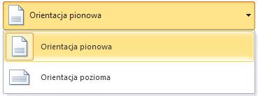 Drukowanie Opcje Orientacja papieru: Pionowa gdzie dłuższa krawędź