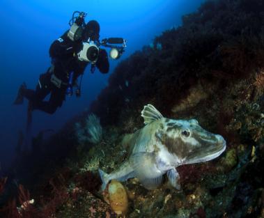 lodowych, snorkeling, itp.