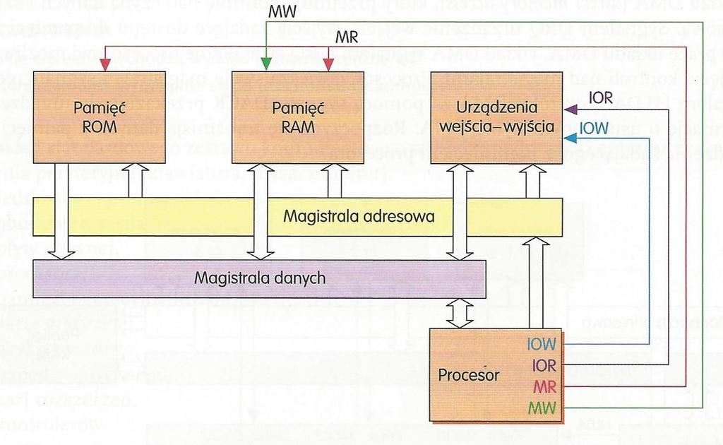 Ad.2. Przykładowe sygnały magistrali sterującej. Współpracę procesora z pamięcią oraz urządzeniami wejścia/wyjścia obrazuje poniższy rysunek. Odbywa się ona poprzez szynę danych i szynę adresową.