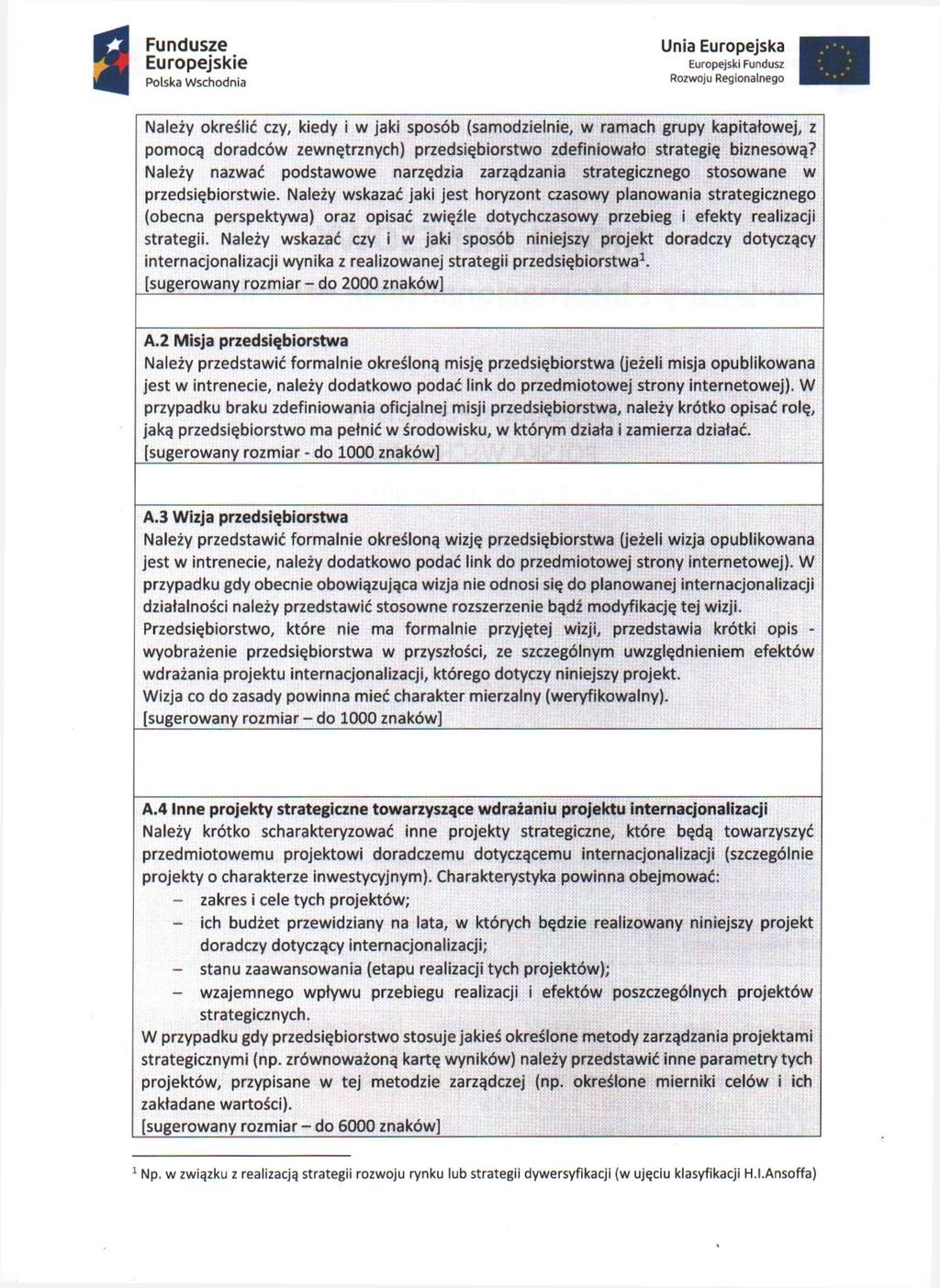 Należy określić czy, kiedy i w jaki sposób (samodzielnie, w ramach grupy kapitałowej, z pomocą doradców zewnętrznych) przedsiębiorstwo zdefiniowało strategię biznesową?