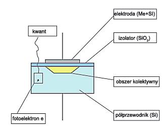 Bazą dla pośrednich systemów cyfrowych są detektory, które składają się z fotoprzewodników, takich jak amorficzny krzem lub selen.