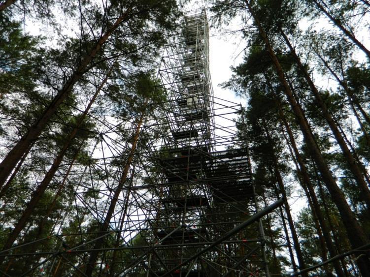 Ocena wpływu ekosystemów leśnych na globalny bilans CO2 Na terenie Nadleśnictwa Tuczno znajduje się pierwsza stacja pomiarowa w Polsce na której