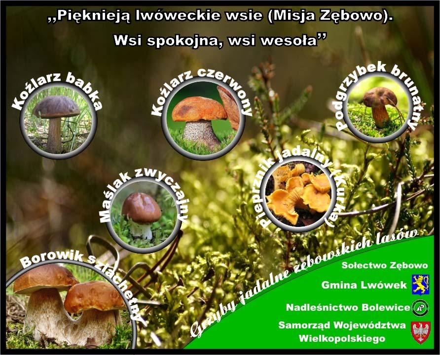 PIĘKNIEJĄ LWÓWECKIE WSIE (MISJA ZĘBOWO).