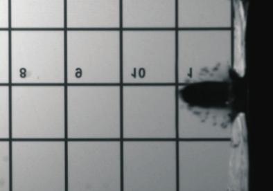 1 mm (numery zdjęć