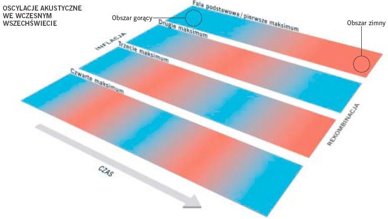 Wyższe harmoniczne oscylowały 2, 3 i więcej razy szybciej niż fala podstawowa W epoce