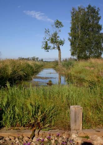 Prace inżynierskie N 500 0 500 Meters z x z x Rów Zachodn i zx x z zx x z zx W ęż ów ka ąż K anał W Jez.