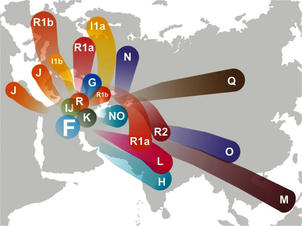 Rozprzestrzenianie się haplogrup [http://www.