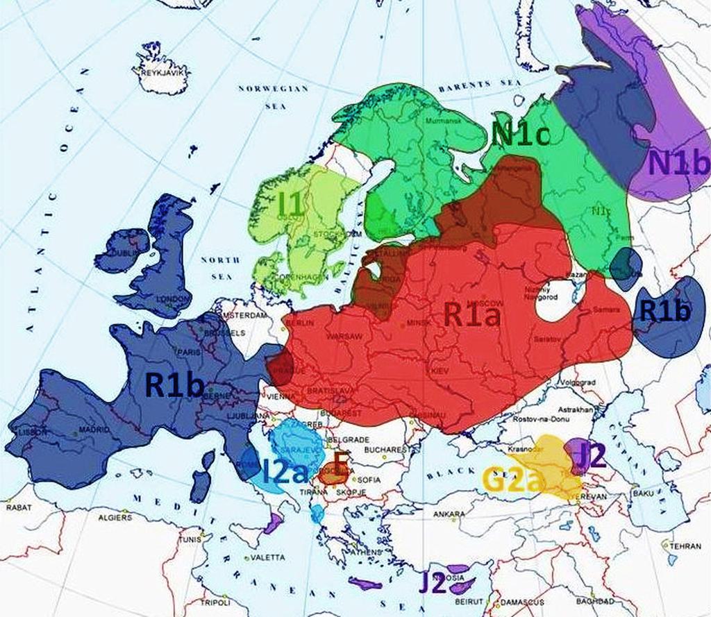 Common Y-DNA haplogroups in Europe: highlighted are areas where the frequency of a haplogroup is higher than one third of the gene pool