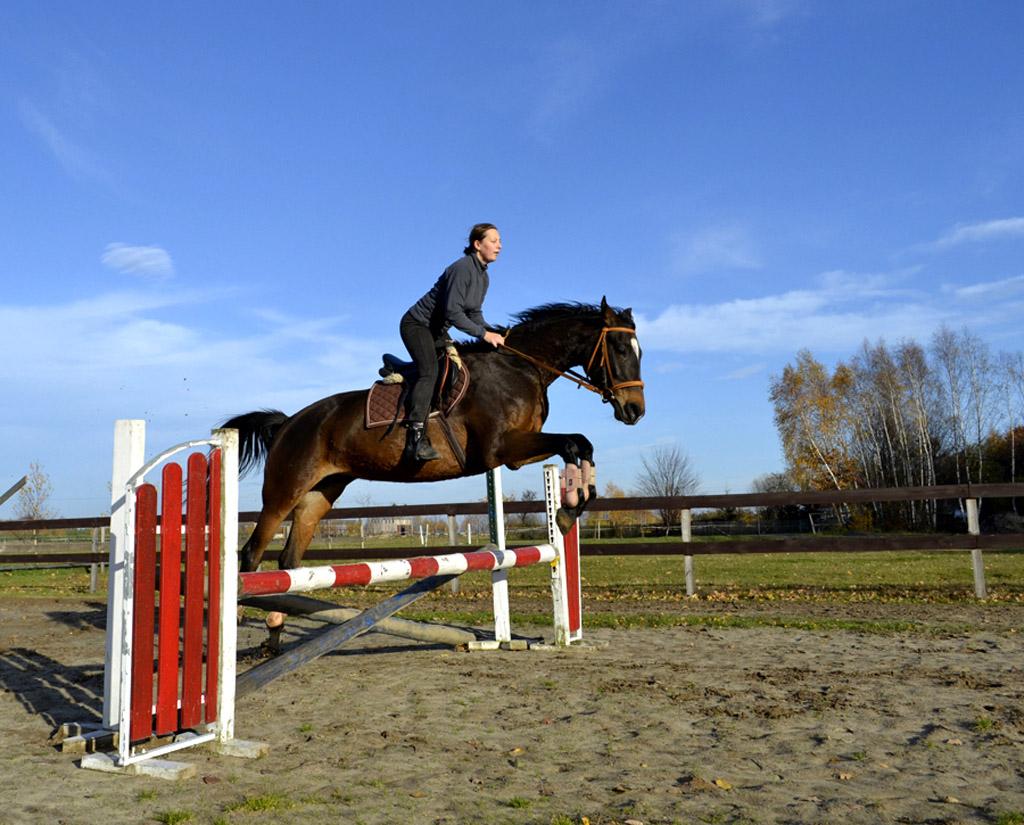 Klienci mogą skorzystać z paleniska, pola namiotowego, z przejazdów bryczką, a w sezonie zimowym z kuligów konnych. www.zagroda-jezdziecka-mustang.pl tel.