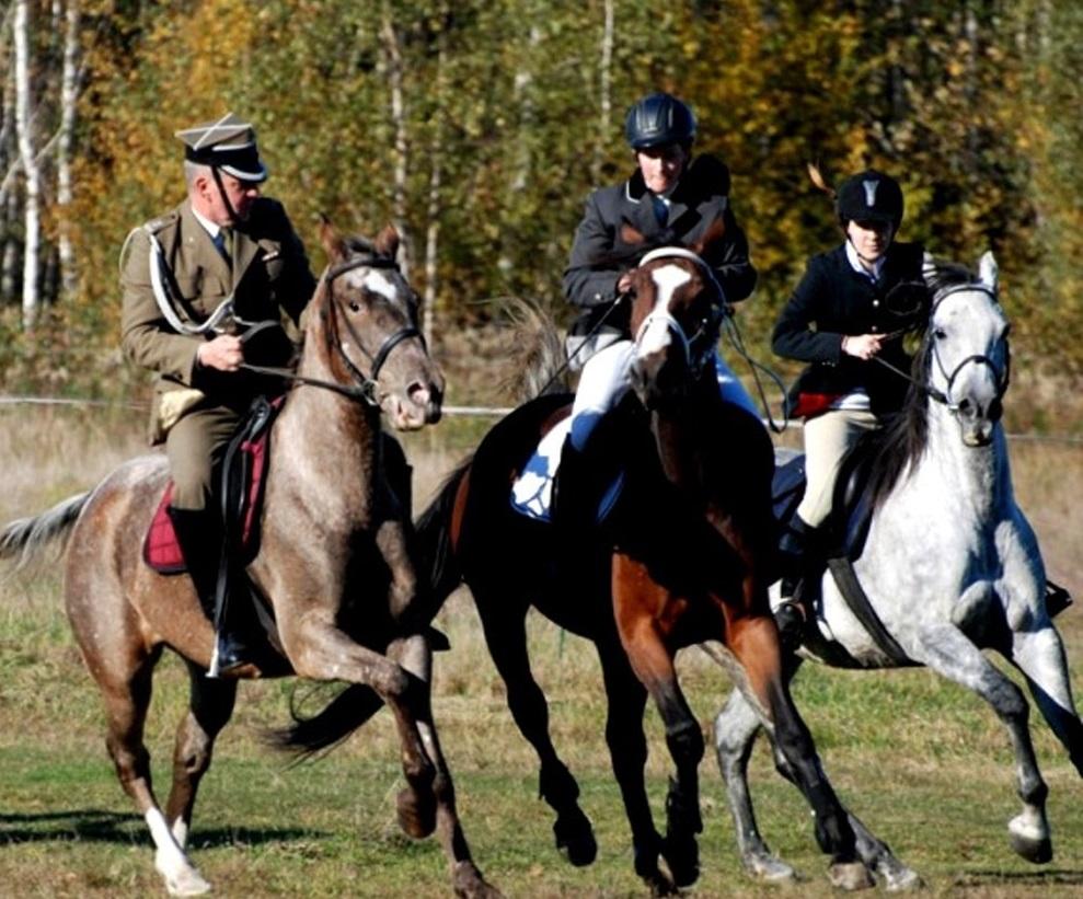 Na terenie gminy wytyczono i oznakowano cztery szlaki rowerowe o łącznej długości 56 km. Na trasach rowerowych turyści mają okazję zobaczyć liczne zabytki architektoniczne i sakralne m.