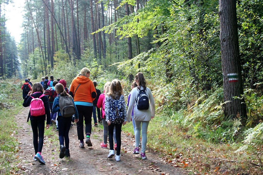 Składa się z trzech pętli o łącznej długości 7,8 km.