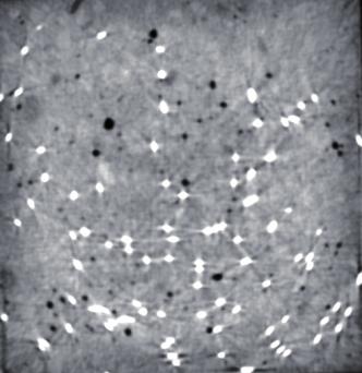 2D and 3D images of steel fibres in SCC with variable SW50 fibres content (3D: left sample bottom, right sample