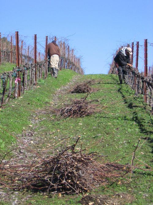 BIOWĘGIEL Biochar - BC - to stały produkt otrzymany w czasie