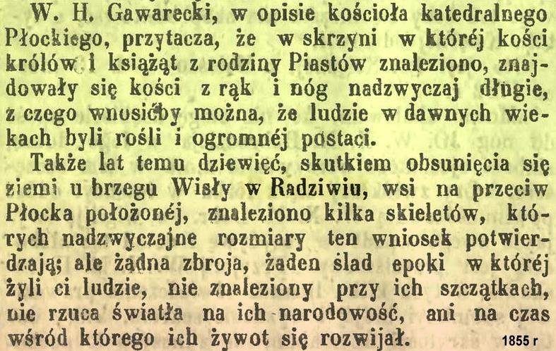 Tak opisał Radziwie autor tego rękopisu Korzeniowski w czasie swojej podróży po Królestwie w