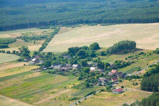 Usługi samochodowe, Zakład Usług Leśnych Zakład Usług Budowlanych i Leśnych, Zakład Usług Wielobranżowych 2.6.