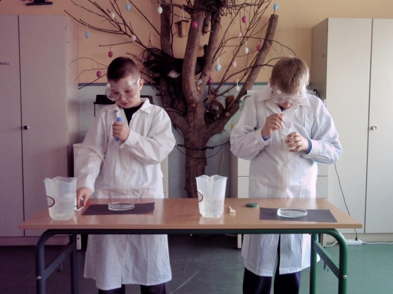 STYCZEŃ 2014 Temat: Jak zrobić chemiczną meduzę?