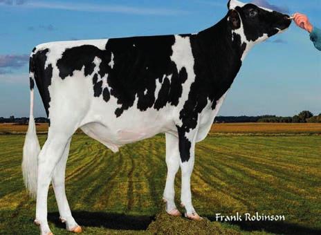 Cheese Merit $ +618 Tłuszcz +51 +0,15% Wykorzyst. paszy +96 S-S-I Mogul Defender-ET Ms Apples Uno Armana-ET VG-88 04/2016 CDCB OCENA GENOMOWA NMS +497 Mleko +720 78% Powt.