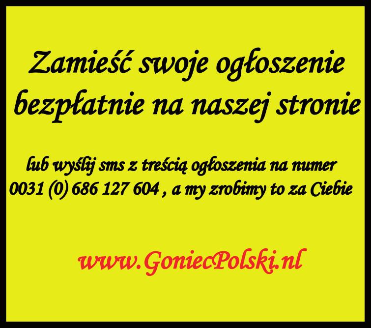 Na sze wy ma ga nia: do świad cze nia w w/w za wo - dzie, upraw nie nia na w w/w za - wo dzie, zna jo mo ści ję zy ka an - giel skie go, lub ho len der skie go, lub fran cu skie go - na po zio mie ko