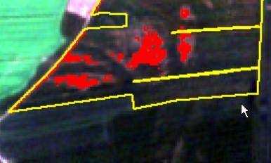 PRODUKTY ZAWANSOWANE SPERSONALIZOWANE Mapa obszarów problematycznych przedstawia fragmenty pola, na których w danym sezonie, jak również w poprzednich, kondycja pól