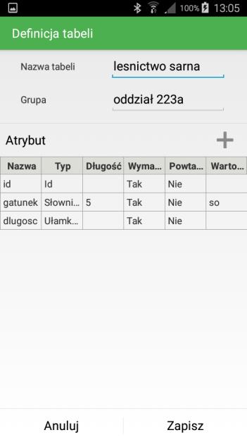 Poniżej znajduje się przykład dodania kolejnego atrybutu. W aplikacji można dodać każdą ilość wymaganych atrybutów. 11. Dodać kolejny atrybut 12. Określenie nazwy, typu oraz dodatkowych właściwości.