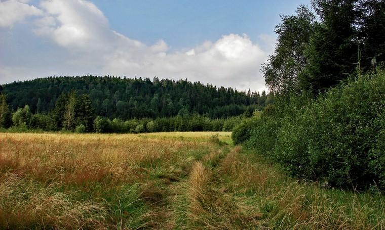 podawanych na polskich mapach według tychże map od miejsca gdzie skończył się szlak żółty, do naszego pierwszego celu - przełęczy Głuchaczki jest 1 godzina 45 minut.