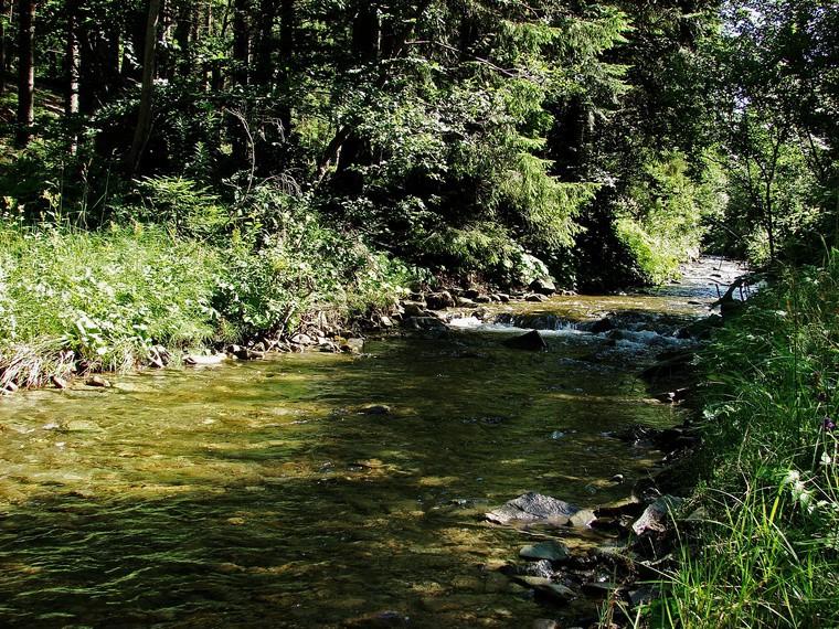 Góry. Po kilkunastu minutach, łagodnego podchodzenia dotrzemy do rozwidlenia dróg. Będzie to szczyt Vyśny Tajch 843 m n.p.m. o czym poinformuje nas stosowny drogowskaz.