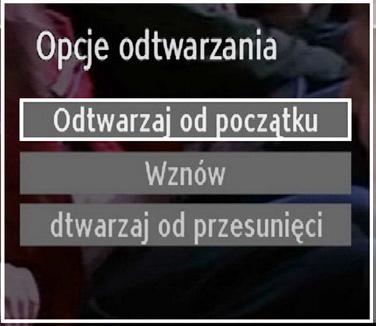 Wybrać YES (tak) poprzez wciśnięcie przycisku lub / OK, aby anulować natychmiastowe nagrywanie.