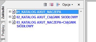 Wykonany jest w pliku PDF (program instalacyjny do obsługi tych plików można bez problemu odnaleźć w internecie).