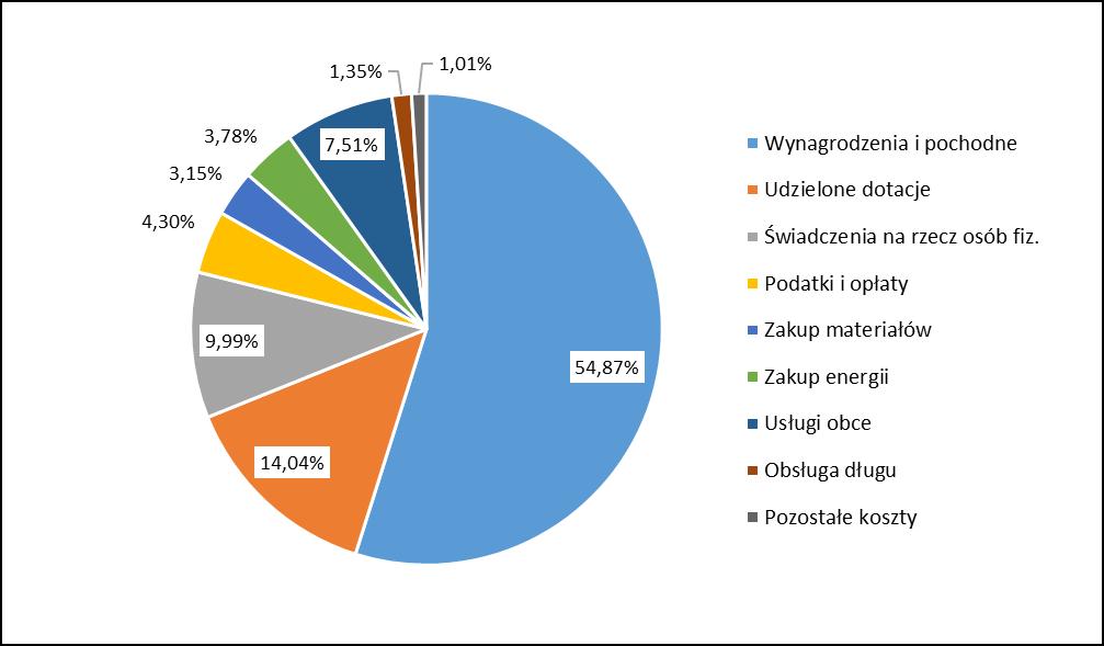 Analizując wykonanie budżetu według struktury rodzajowej wydatków, zauważalny jest przeważający udział wydatków na wynagrodzenia wraz z pochodnymi. Stanowią one 48,89% wydatków ogółem.