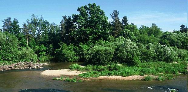 http://www.borydolnoslaskie.org/article,pl,obszary_natura_2000,11.h tml SOO - specjalne obszary ochrony siedlisk Wyznaczane na podstawie Dyrektywy Siedliskowej (92/43/EWG).