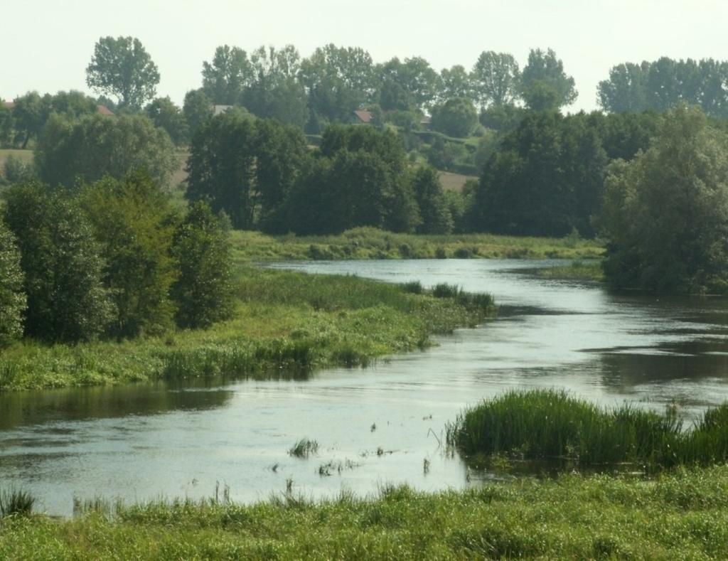 http://static.panoramio.com/photos/original /527399.jpg http://www.brodnica-online.