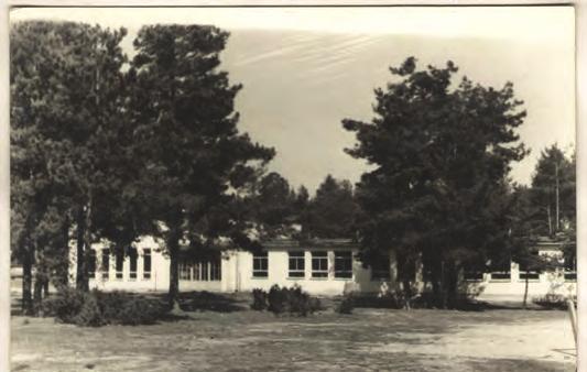 została nowa nauczycielka, pani Janina Krajewska, w roku 1957 kierownika Henryka Dąbrowskiego zajął Alfred Sasinowski i powitano dwie nowe nauczycielki: panią Zaniewską i Zaorską.