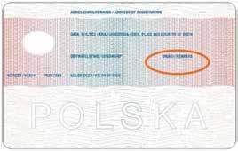65 Zezwolenie na pracę Pozostali cudzoziemcy przebywający w Polsce legalnie mogą pracować w Polsce o ile posiadają zezwolenie na pracę (o którym napiszemy więcej w dalszej części rozdziału), chodzi