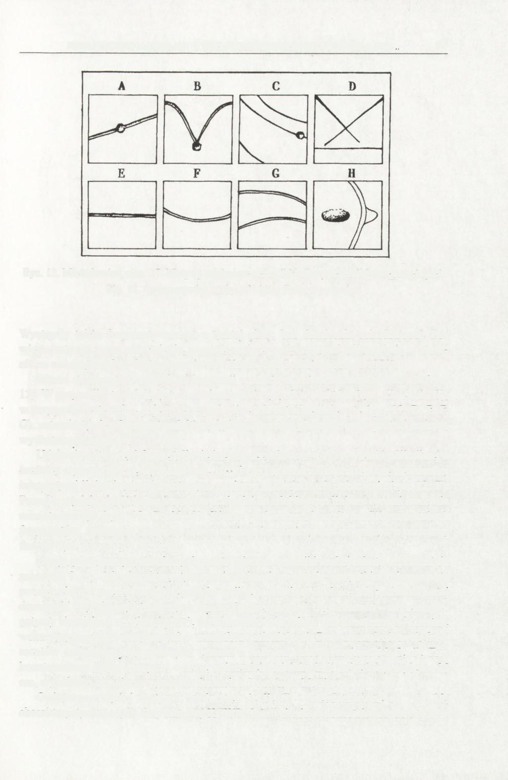 NEOLITYCZNE MATERIAŁY Z WIELOKULTUROWEGO STANOWISKA 27(1)... 57 Ryc. 12. Michałowice, stan. 27. Motywy zdobnicze ceramiki kultury ceramiki wstęgowej rytej. Fig. 12. Ornamentation styles of Linear Pottery ceramics.