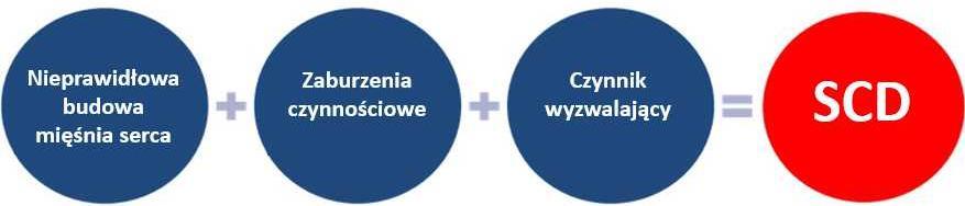 Przełom w leczeniu Wirusowego Zapalenia Wątroby typu C w Polsce przegląd literatury resuscytacji krążeniowo-oddechowej niż w sytuacji, kiedy do zatrzymania krążenia dojdzie w miejscu publicznym lub